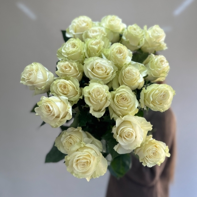 Букет 25 Шикарных белых импортных роз 
